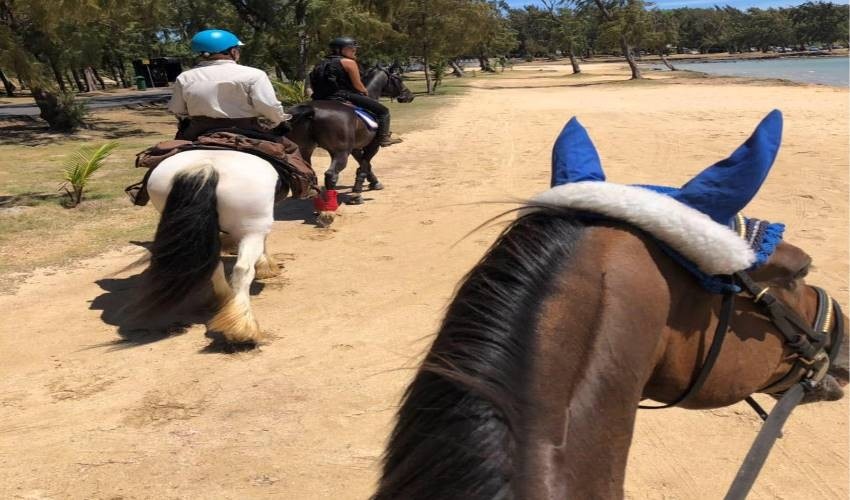Horse Riding | Les Calèches Du Paradis