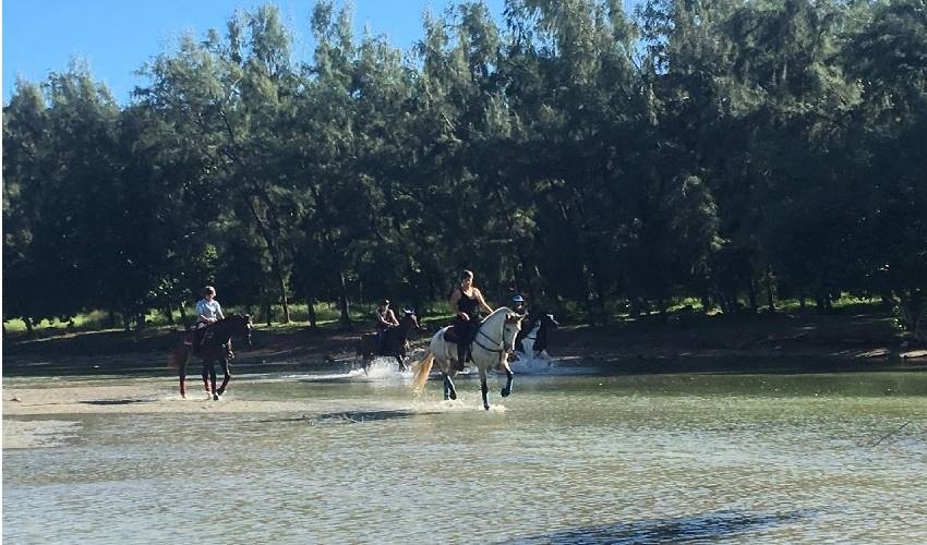 Horse Riding | Les Calèches Du Paradis