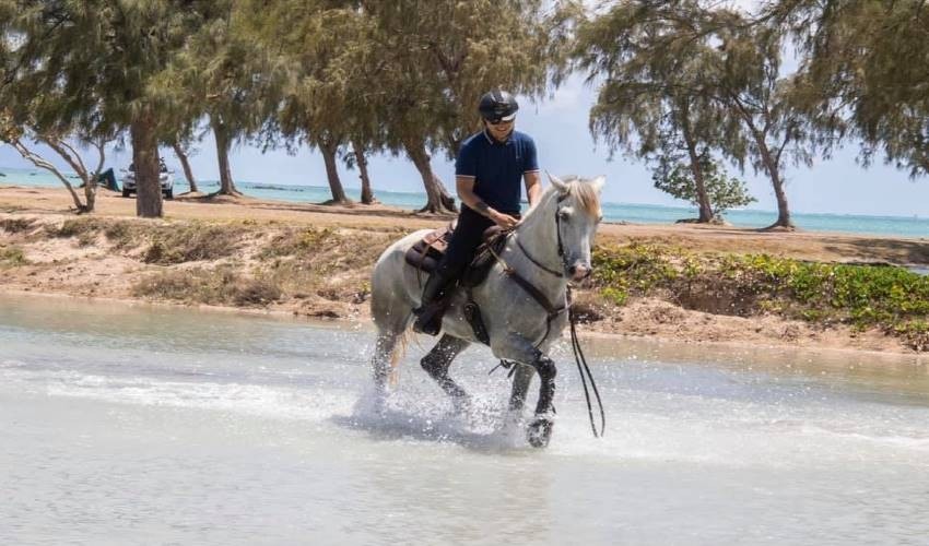 Horse Riding | Les Calèches Du Paradis