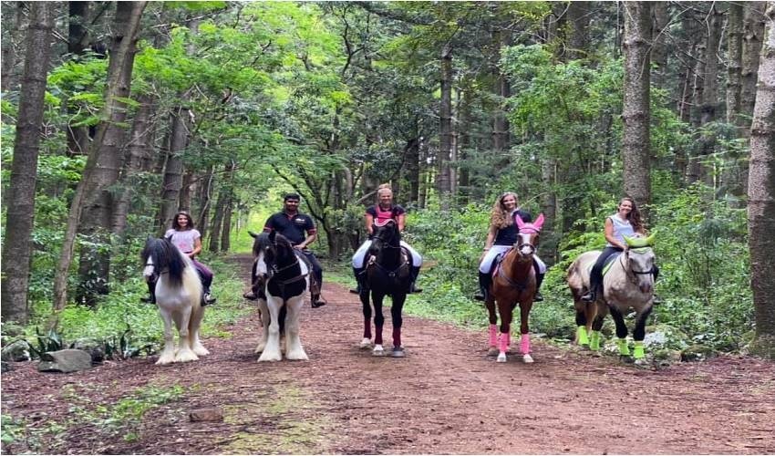 Horse Riding | Les Calèches Du Paradis