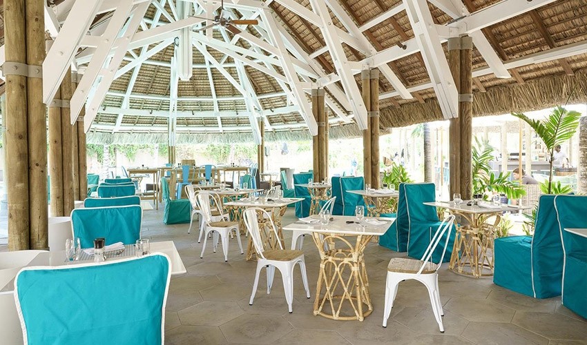 DAY PASS |Coin De Mire Attitude